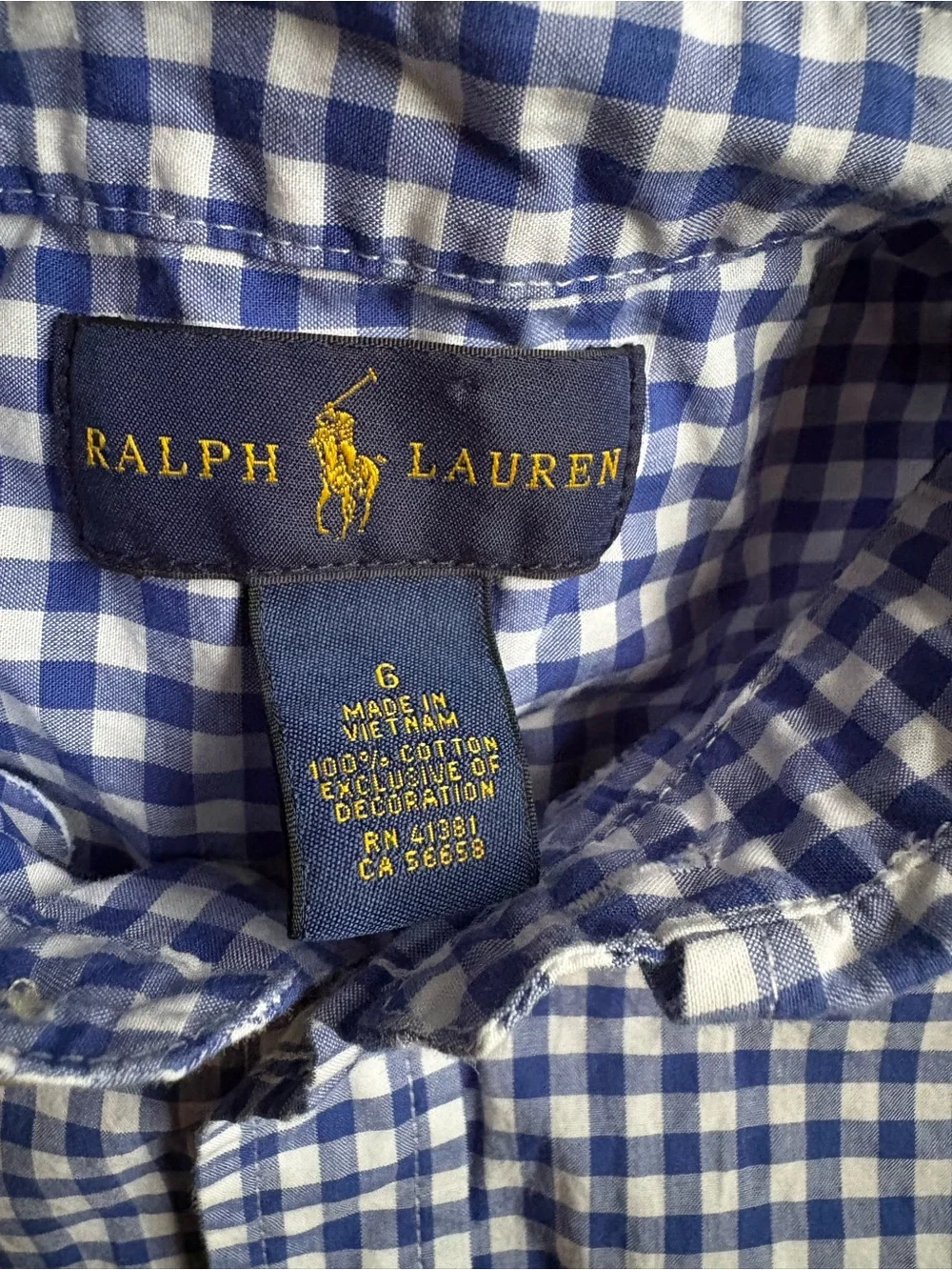 Ralph Lauren Blue and White Gingham Button-Down Shirt with Green Pony